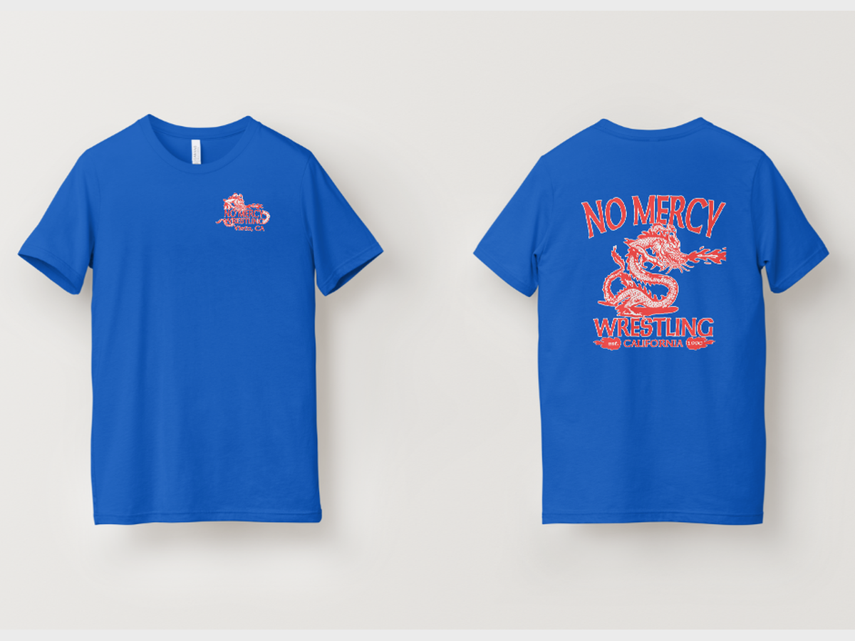 Blue Tee — Dragon Back A